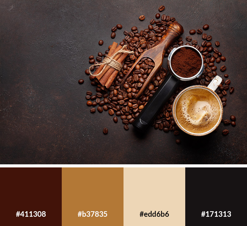 Cafe - Earth Tone Color Palette