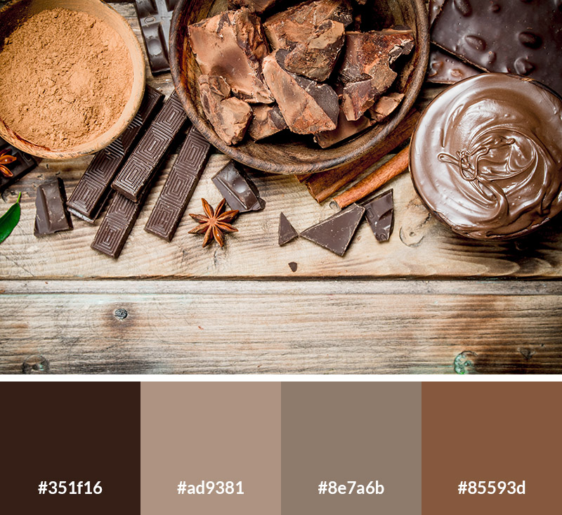 Chocolate - Earth Tone Color Palette