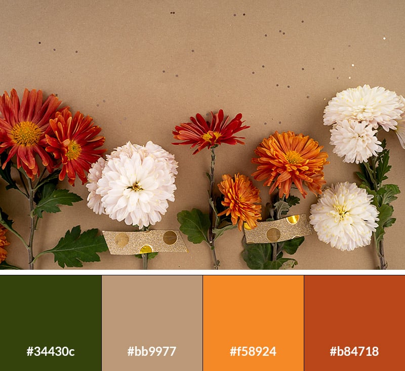 Nature's Delight - Earth Tone Color Palette