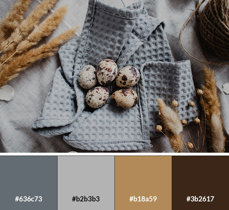 Organic Oasis - Earth Tone Color Palette