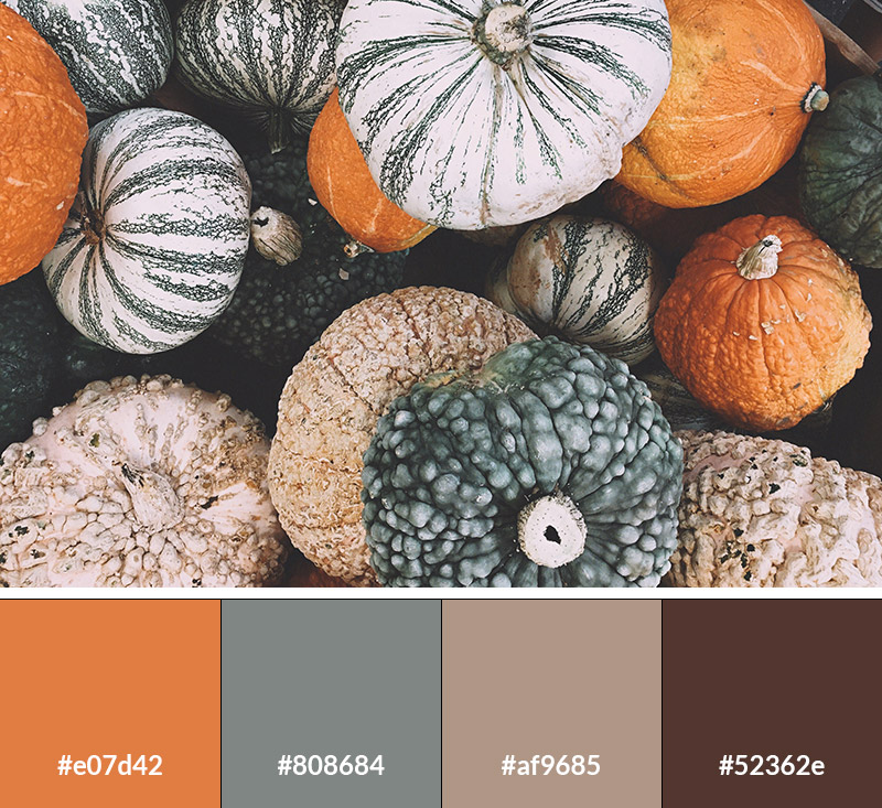 Pumpkin Patch - Earth Tone Color Palette