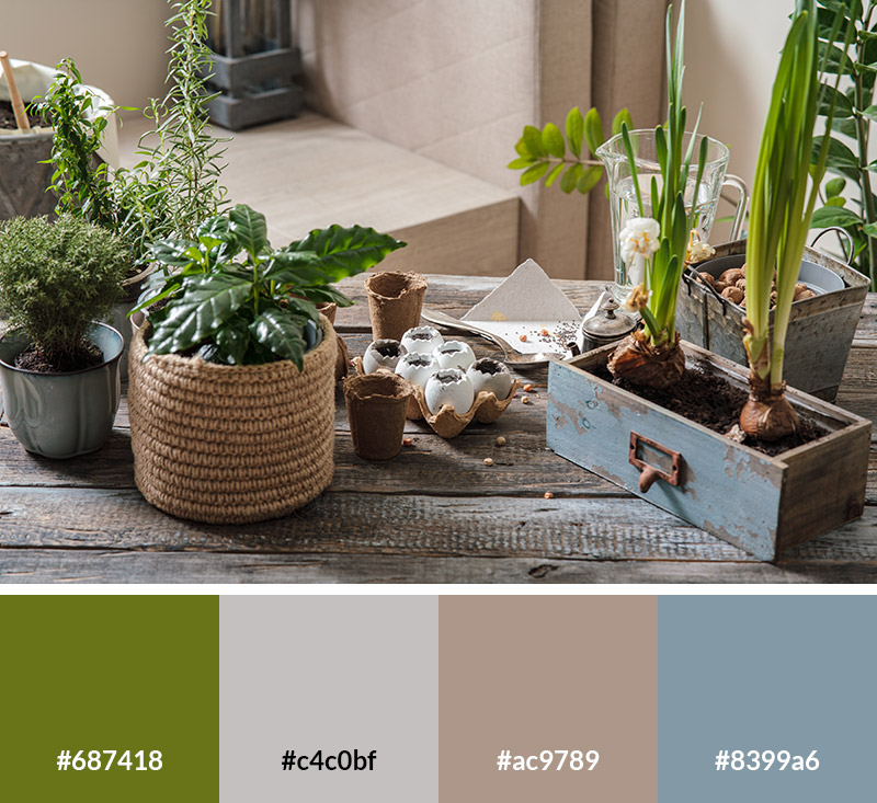 Vintage Earth - Earth Tone Color Palette