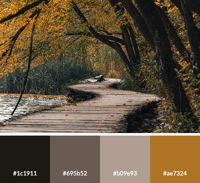 Weathered Woods - Earth Tone Color Palette