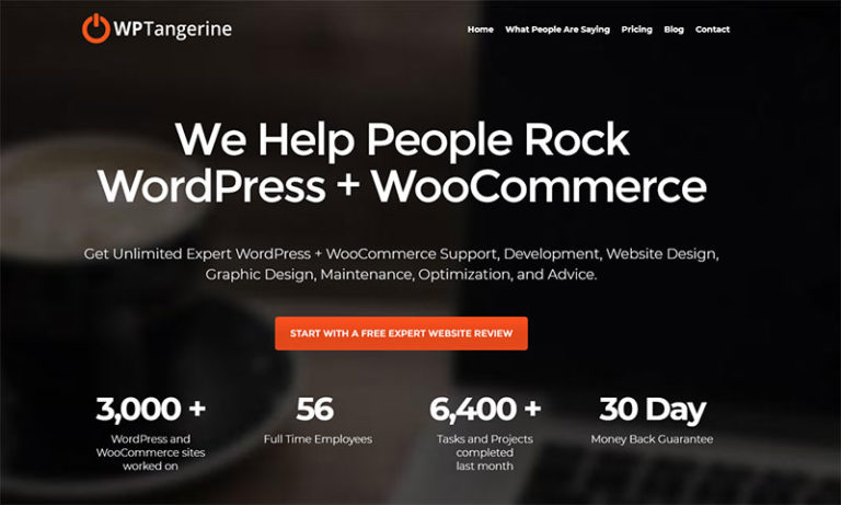 15 WordPress Support and Maintenance Services